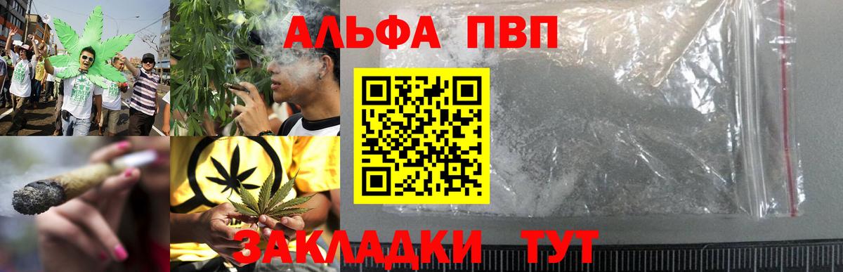 Alfa_PVP СК КРИС Волжский