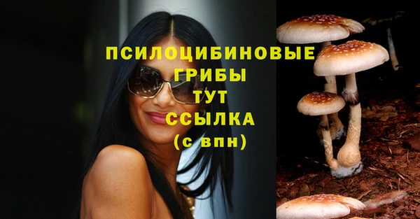 MESCALINE Новокубанск