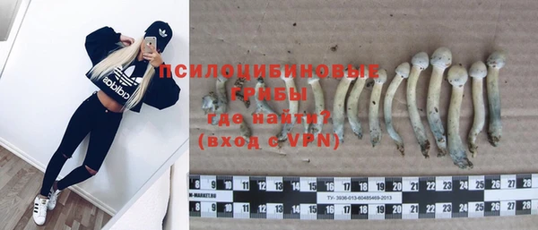 MESCALINE Новокубанск