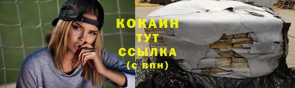 spice Новозыбков