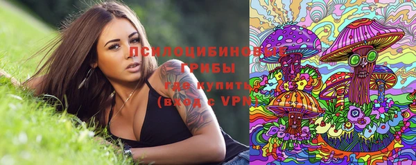 spice Новозыбков