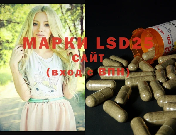 spice Новозыбков