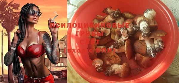 spice Новозыбков