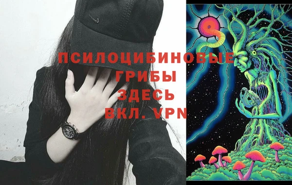 spice Новозыбков