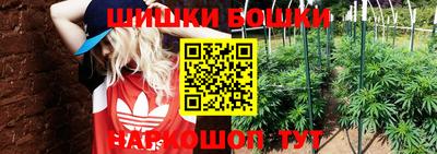 спиды Бийск