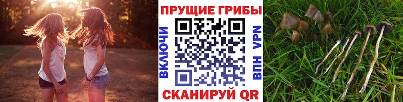 как найти наркотики  Волжский  Галлюциногенные грибы ЛСД 