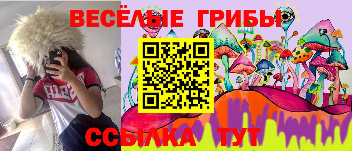 Псилоцибиновые грибы GOLDEN TEACHER Волжский