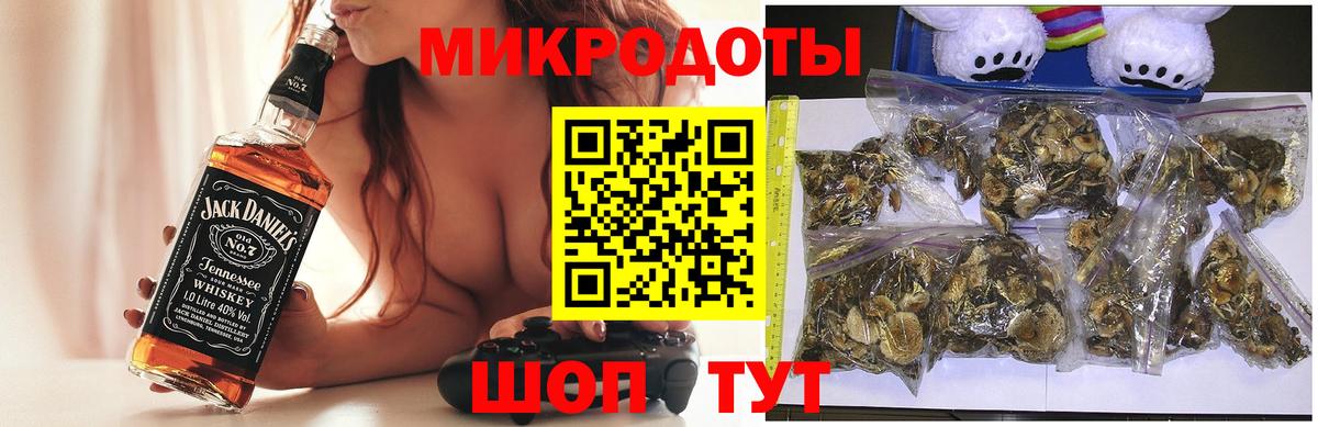 Псилоцибиновые грибы Psilocybine cubensis  Волжский  Галлюциногенные грибы мицелий 